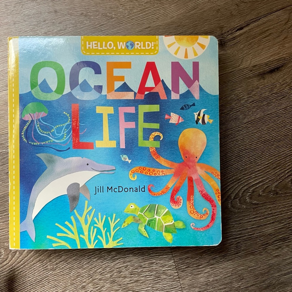 Bundle of young kids books